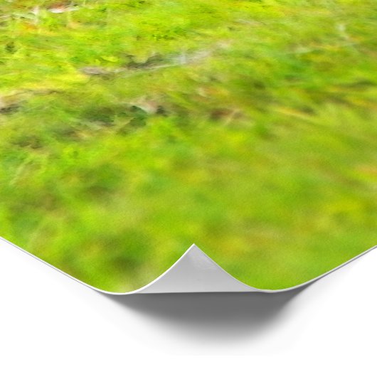 Impression de l'affiche de l'OEil mignon (Coin)