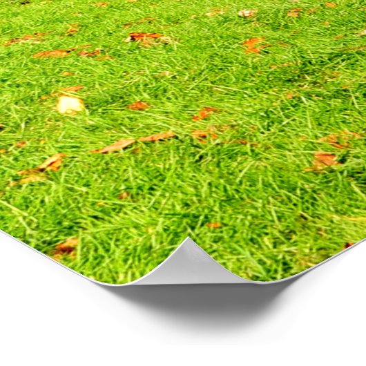 Impression de l'affiche de Mabry Mill dans Meadows (Coin)