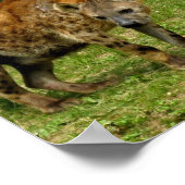 Impression de l'affiche d'Hyena Prowl (Coin)