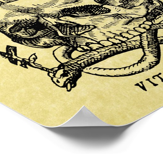 Impression de l'affiche du crâne médiéval (Coin)