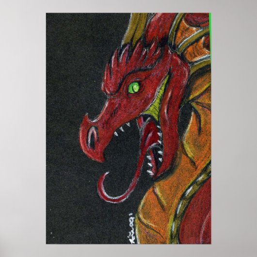 Impression de l'affiche du Dragon Fire (Devant)