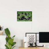 Impression de l'affiche du groupe de gorilles de m (Bureau à domicile)