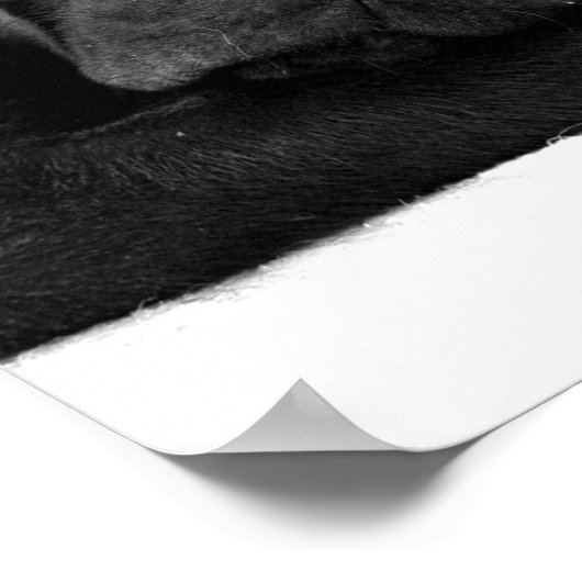 Impression de l'affiche du Laboratoire de couchage (Coin)