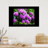 Impression de l'affiche du printemps irlandais (Cuisine)