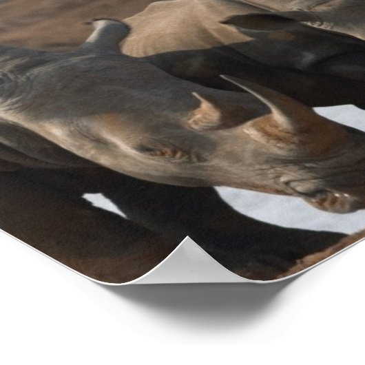 Impression de l'affiche du Rhino noir (Coin)