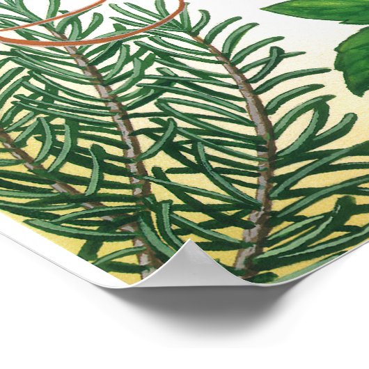 Impression de l'affiche Herb Primer (Coin)