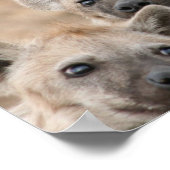Impression de l'affiche Hyenas (Coin)