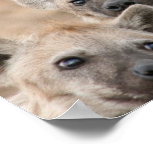 Impression de l'affiche Hyenas (Coin)