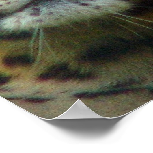 Impression de l'affiche Leopard (Coin)