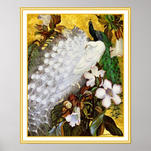 Impression de l'affiche : Peacock blanc et bleu (Devant)