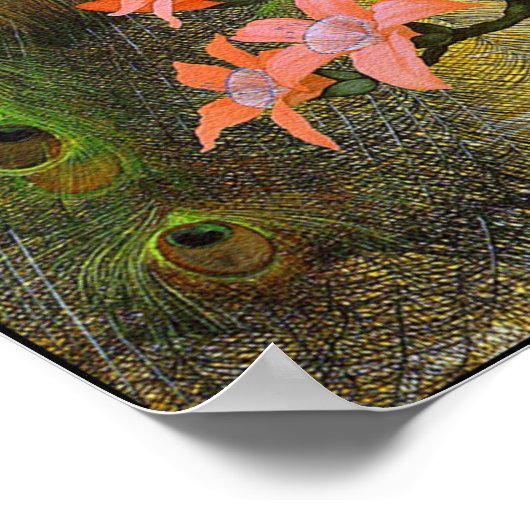 Impression de l'affiche : Peacock bleu (Coin)