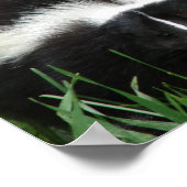 Impression de l'affiche Skunk (Coin)