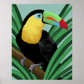 Impression de l'affiche Toucan (Devant)