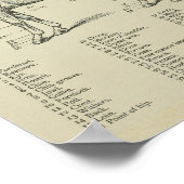 Impression de l'anatomie de la surface du cheval (Coin)