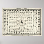 Impression de l'ancienne carte de transport et d'a (Devant)