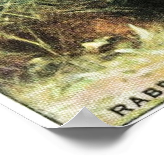 Impression de lapin (Coin)