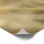 Impression de l'araignée et de la surface des oeuf (Coin)