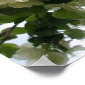 Impression de l'arbre Apple en fleurs (Coin)