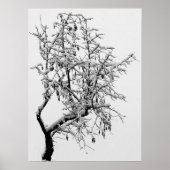 Impression de l'arbre d'hiver (Devant)