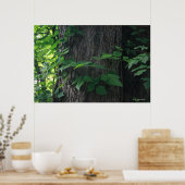 Impression de l'arbre enchaîné (Cuisine)