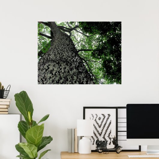 Impression de l'arbre KapoK (Bureau à domicile)