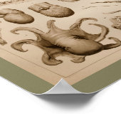 Impression de l'art anatomique de pieuvre Vintage  (Coin)