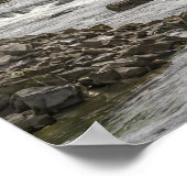 Impression de l'art du mur de pêche de vol (Coin)