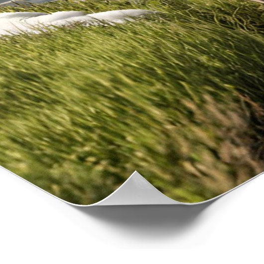 Impression de l'art du mur de pêche de vol (Coin)