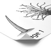 Impression de l'évolution des plumes (Coin)