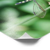 Impression de libellules de Pondhawk oriental (Coin)