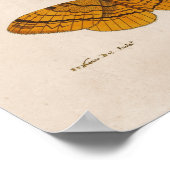 Impression de l'illustration scientifique du Mois (Coin)