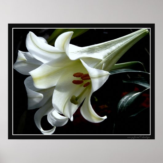 IMPRESSION DE LIMITE DE PÂQUES (Devant)