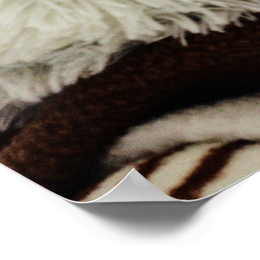 Impression de l'oreille (Coin)