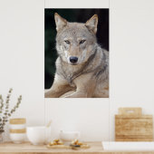 Impression de loup gris (Cuisine)