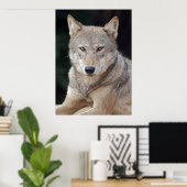 Impression de loup gris (Bureau à domicile)