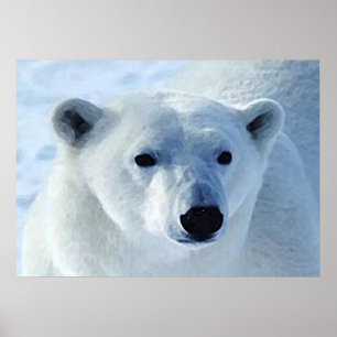 Impression de l'ours polaire