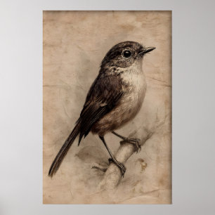 Impression de moineau de portrait antique sur arbr