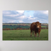 Impression de molette Limousin (Devant)