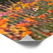Impression de montagnes et de fleurs sauvages Colo (Coin)