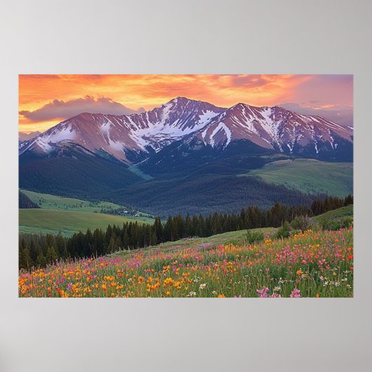 Impression de montagnes et de fleurs sauvages Colo (Devant)