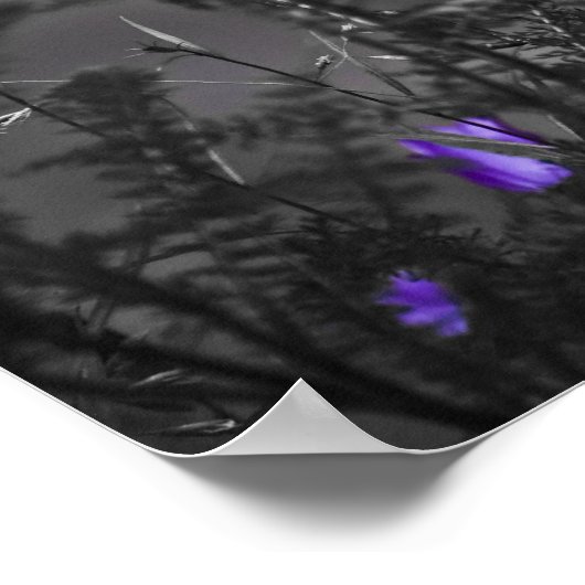 Impression de Musique Bells (Coin)