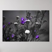 Impression de Musique Bells (Devant)