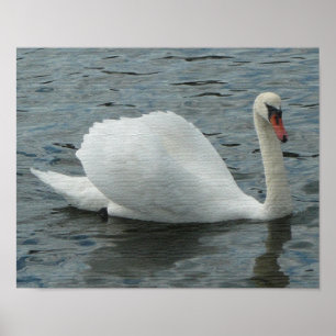 Impression de nage de Swan