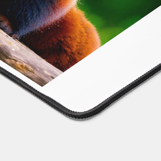 impression de panda rouge (Coin)