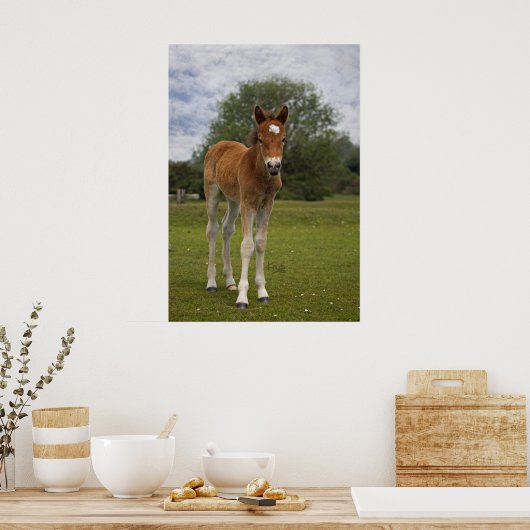 Impression de papier (Cuisine)