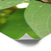Impression de papillon vert iridescent tropical (Coin)
