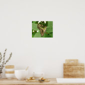 Impression de papillon vert iridescent tropical (Cuisine)