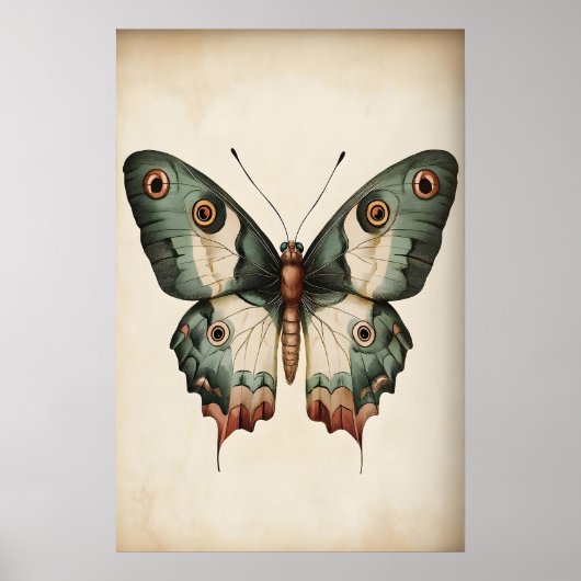 Impression de papillon vert sauge, papillon de sty (Devant)