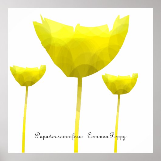 Impression de pavot (Devant)