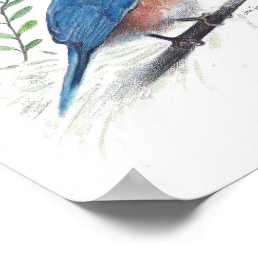 Impression de peinture Bluebird (Coin)